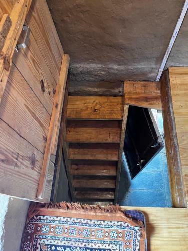Himalayan Paramount Mudhouse