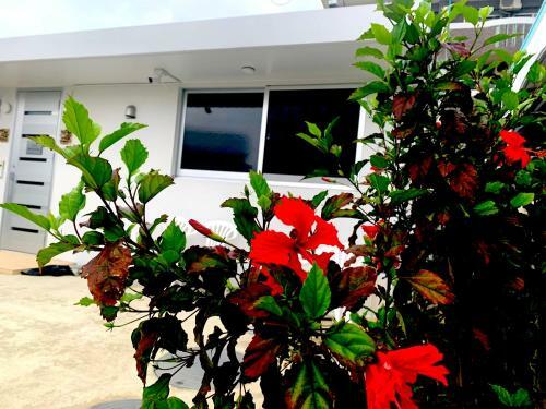 Villa Whiteshisa