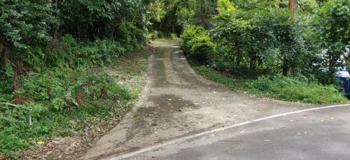Parijatham Heritage Home Stay