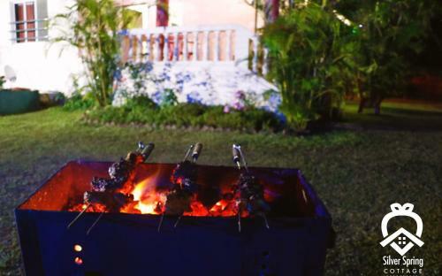 Villa Silver Spring 4 Bhk Luxurious Cottages With Lake View