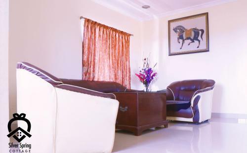 Villa Silver Spring 4 Bhk Luxurious Cottages With Lake View