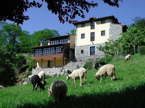 Hotel Posada Del Valle