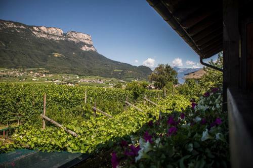 Hotel Gasthof Wastl
