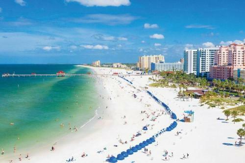 Casabetty Clearwater Florida