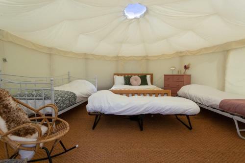 Starry Skies Yurt - Vega