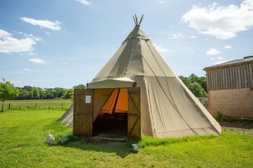 Blissful Bell Tent - Tansy