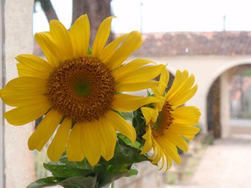 Bed & Breakfast Le Petit Souhait & Le Verger