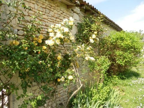 Bed & Breakfast Le Petit Souhait & Le Verger