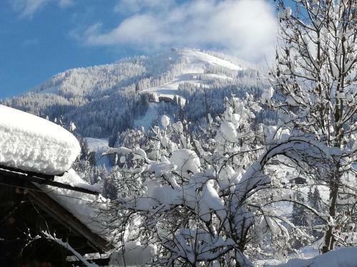 Apartamento Appartement Paratscher
