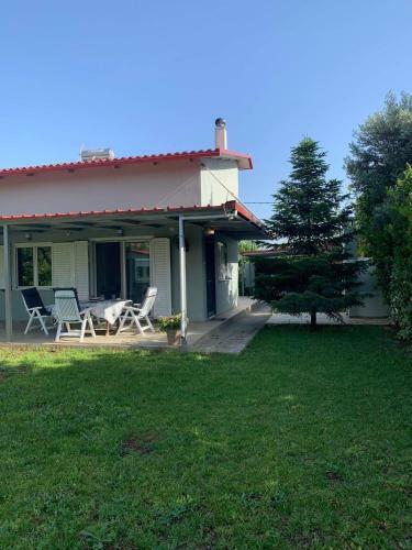 Villaellea