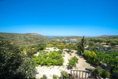 Villa Terra Zeus Skalani