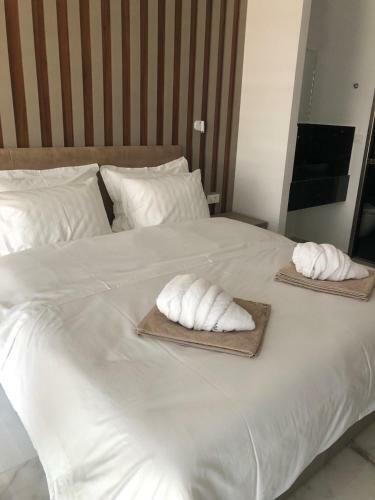 Villa Zavia Resorts