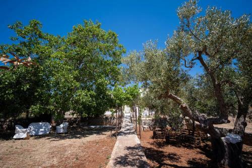 Apartamento Wepuglia - Trulli E Alcova Mikael