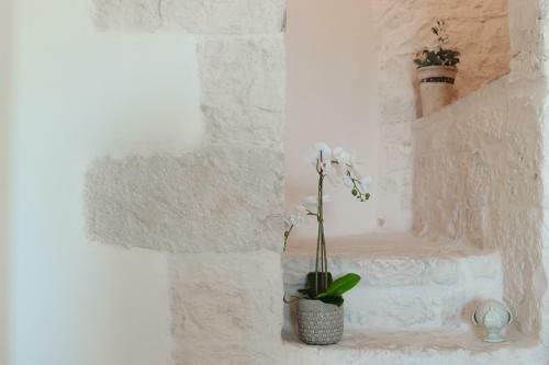 Apartamento Suite Fronte Valle