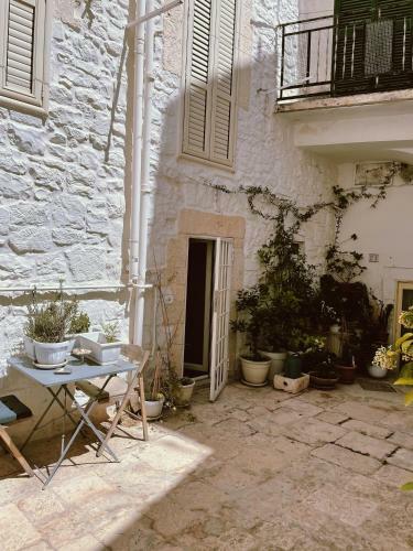 Casa Nen�