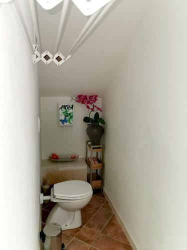 Apartamento Aura Symphony Home