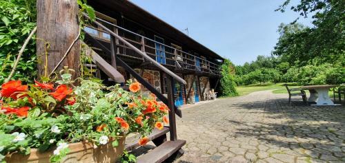 Apartamento Agroturystyka Likusy