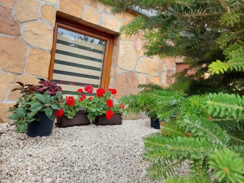 Apartament Nad Jeziorem