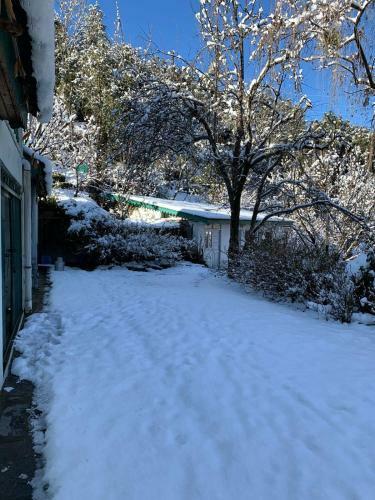 Oak Hill Homestay