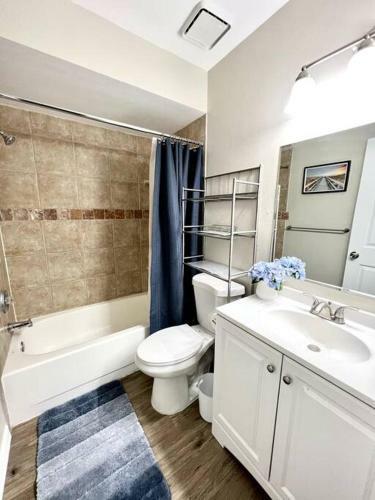 Sarasota Contemporary 4 Bedroom Home With Pool