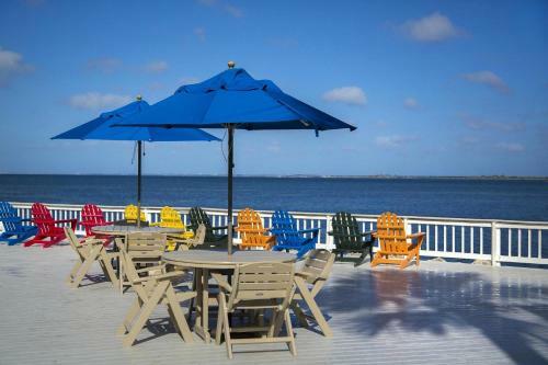 Apartamento Bay View/pool/beach 1 Bedroom Plus Sofa/bed On Tampa Bay