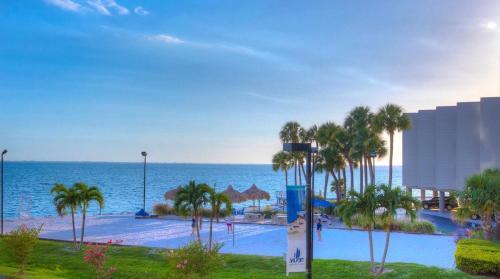 Apartamento Bay View/pool/beach 1 Bedroom Plus Sofa/bed On Tampa Bay