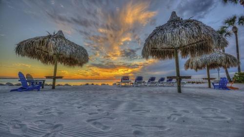 Apartamento Bay View/pool/beach 1 Bedroom Plus Sofa/bed On Tampa Bay