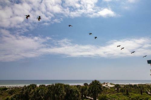 St Augustine Beach & Tennis Club 308
