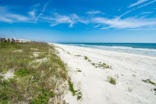 Sea Turtle Shores