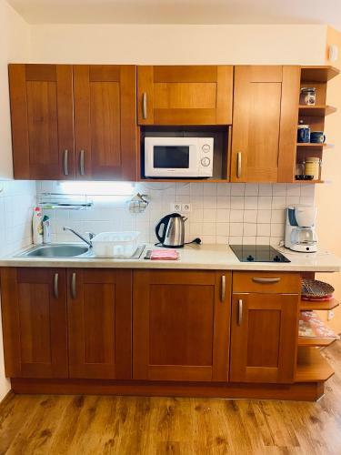 Alba Apartmany ?elezn� Ruda