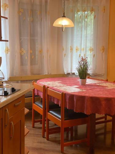 Alba Apartmany ?elezn� Ruda