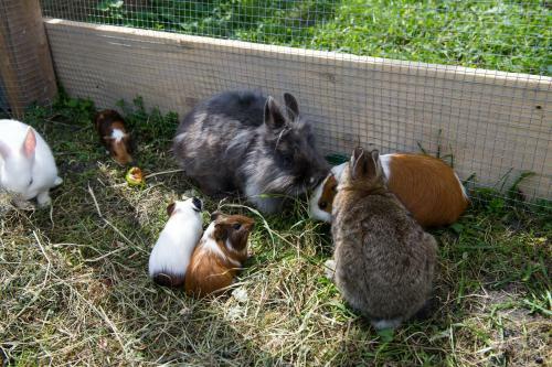 Agroturismo Haus Haarlehen