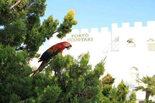 Porto Scoutari Romantic Hotel