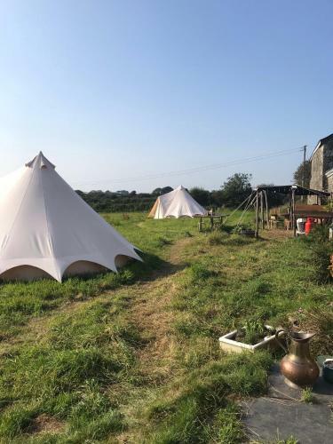 Wild Goose Campsite