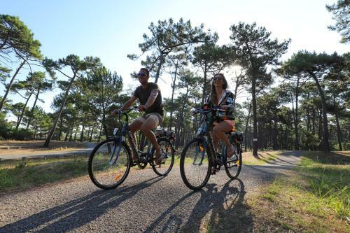 Chalet Dans La Pin�de Entre Lac Et Oc�an