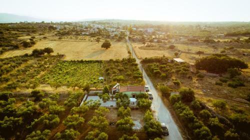 Villa Elaionas