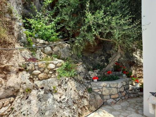 Apartamento Mediterranean Balcony