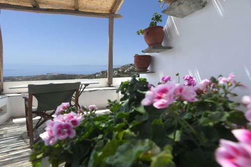 Villa Evilion Traditional House