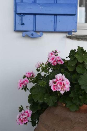 Villa Evilion Traditional House