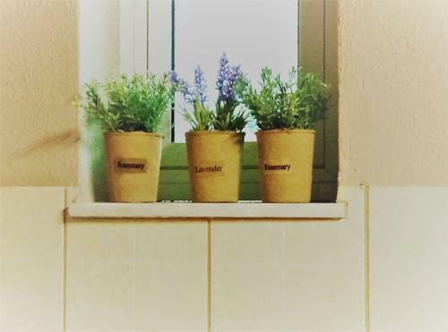 Apartamento Home By The River