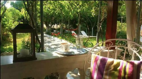 Olive Tree Cottage