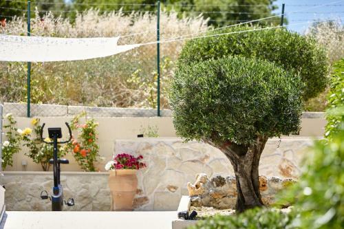 Belle Vue Luxury Villa Voutes
