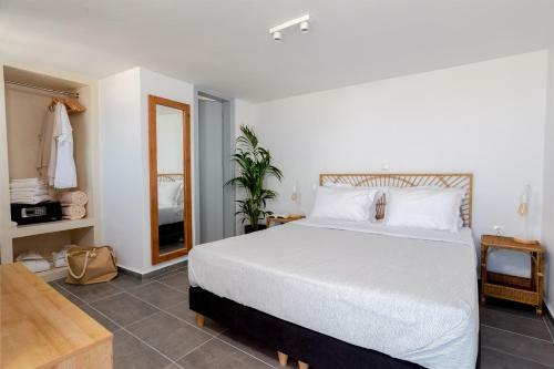 Hotel Divino Suites