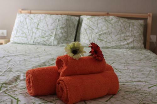 B&B Residence Arancio