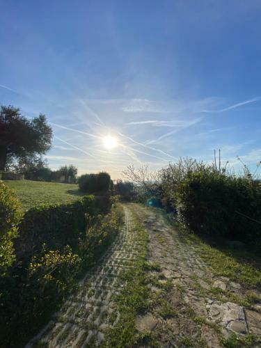 Apartamento Rustico Immerso Nel Verde