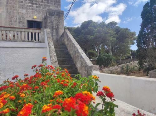 Apartamento Baglio Mulino