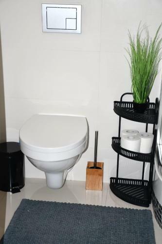Apartament Spichlerz Star�wka - Nad Pubem
