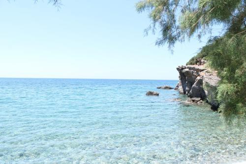 Blue & Sea Vol. 01