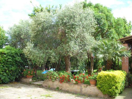 Bed & Breakfast La Convenienza