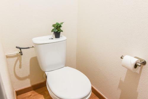 Apartamento L'amazone
